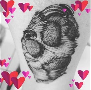 Meet your Posher, Denise